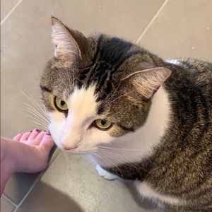 Meet your Posher, Tracey